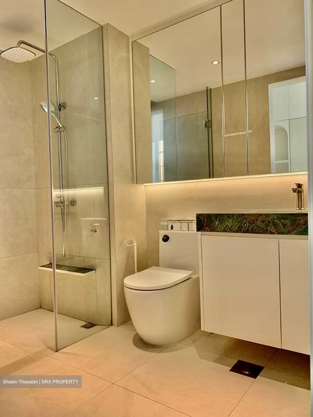 Bellewaters (D19), Condominium #529441911